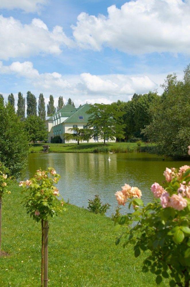 Hotel Restaurant Le Rive Gauche Joigny Dış mekan fotoğraf